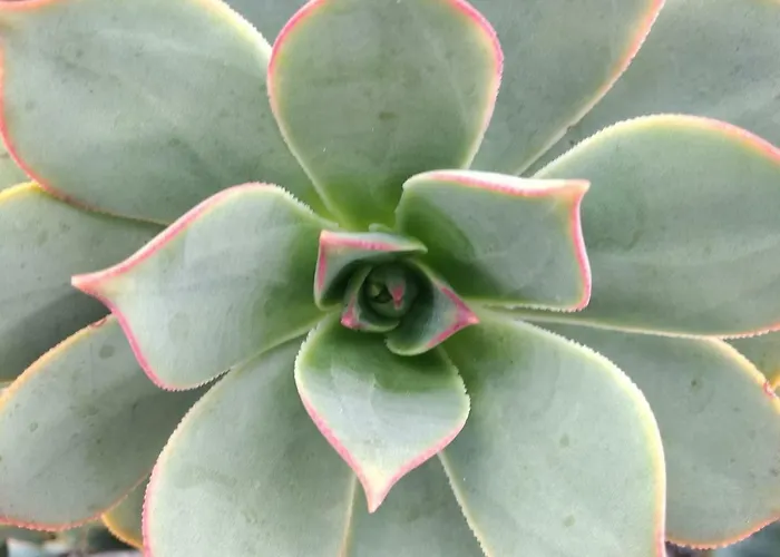 Casa de Férias La Tabaiba Piscina Compartida Adultos Máguez