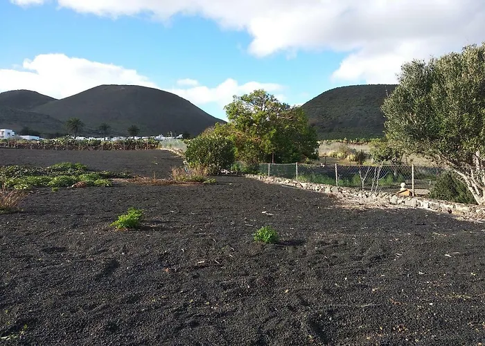 La Tabaiba Piscina Compartida Adultos